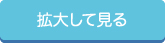 拡大して見る